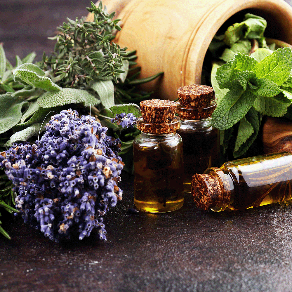 Lavender Sage