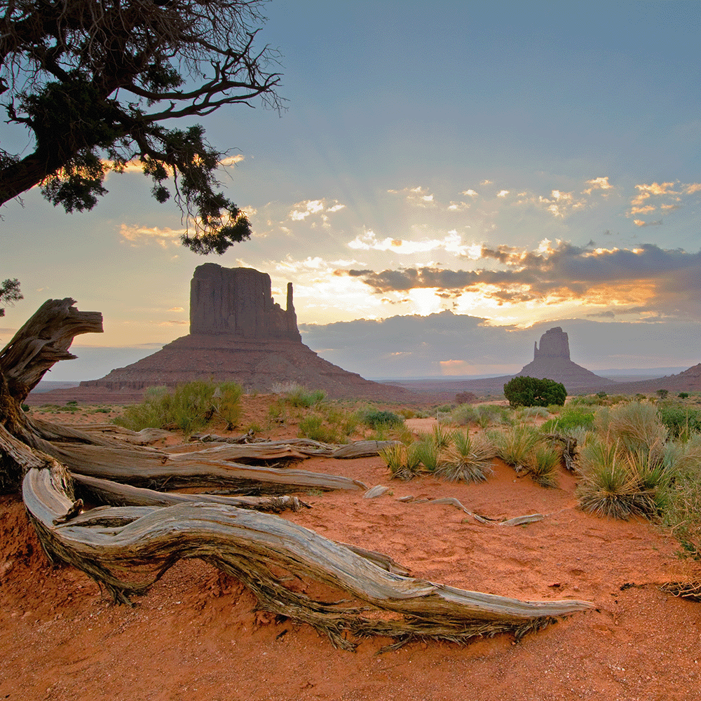 American West Candle