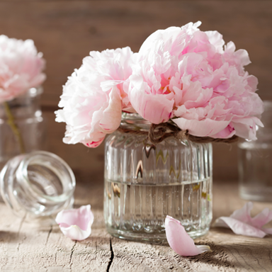 Southern Peony Candle